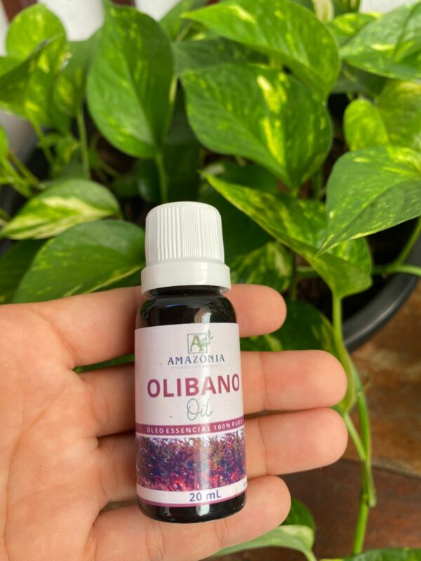ÓLEO ESSENCIA OLIBANO